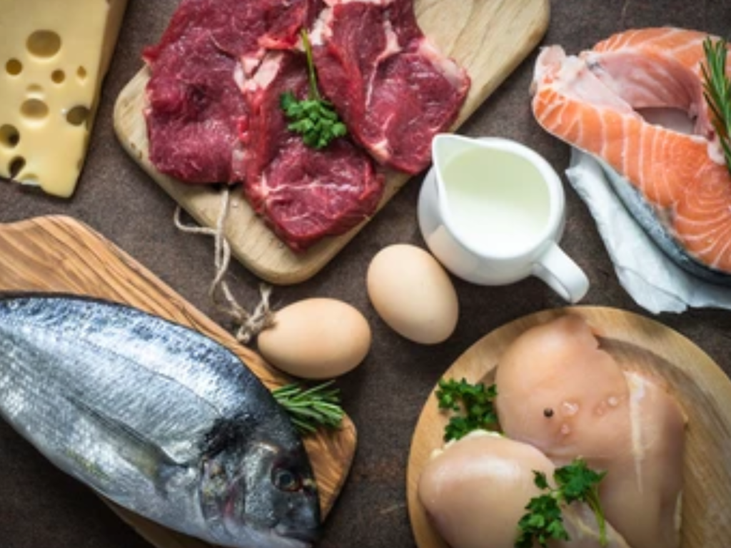 Pet food distributor in Siliguri supplying dog and cat food