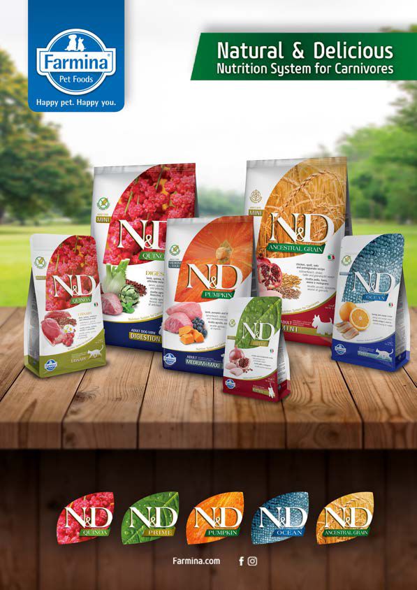Pet Food in Siliguri